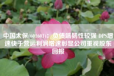 中国太保(601601)：负债端韧性较强 DPS增速快于营运利润增速彰显公司重视股东回报