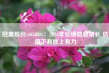 冠盛股份(605088)：2024年业绩稳健增长 估值下有底上有力