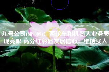 九号公司(689009)：两轮车和机器人业务表现亮眼 高分红彰显发展信心；维持买入