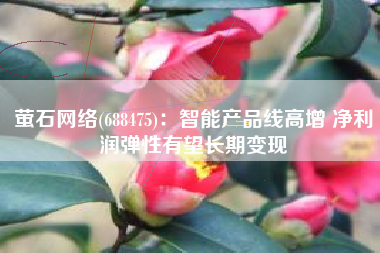 萤石网络(688475)：智能产品线高增 净利润弹性有望长期变现