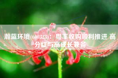 瀚蓝环境(600323)：粤丰收购顺利推进 高分红与高成长兼备