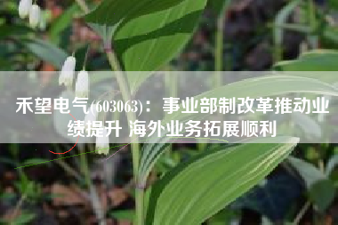 禾望电气(603063)：事业部制改革推动业绩提升 海外业务拓展顺利