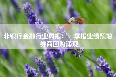 非银行金融行业周报：一季报业绩预增 券商回购涌现