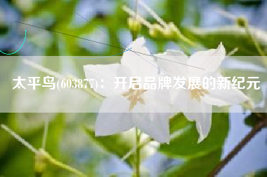 太平鸟(603877)：开启品牌发展的新纪元