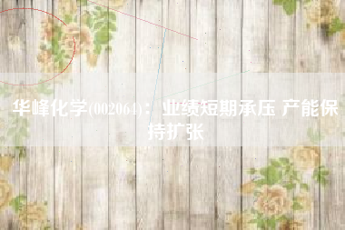 华峰化学(002064)：业绩短期承压 产能保持扩张