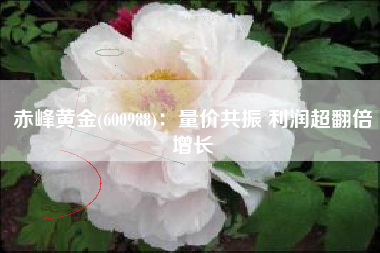 赤峰黄金(600988)：量价共振 利润超翻倍增长