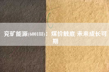 兖矿能源(600188)：煤价触底 未来成长可期