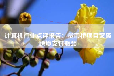 计算机行业点评报告：货币桥项目突破跨境支付瓶颈