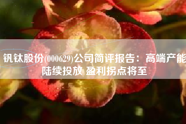 钒钛股份(000629)公司简评报告：高端产能陆续投放 盈利拐点将至
