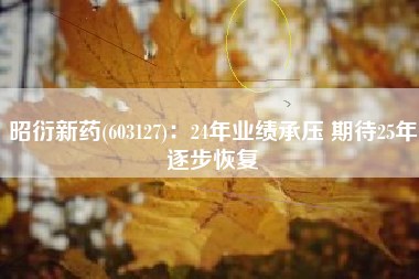 昭衍新药(603127)：24年业绩承压 期待25年逐步恢复