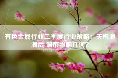 有色金属行业二季度行业策略：关税浪潮后 铜市影响几何？