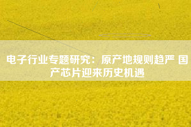 电子行业专题研究：原产地规则趋严 国产芯片迎来历史机遇