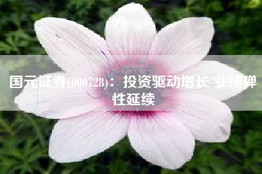 国元证券(000728)：投资驱动增长 业绩弹性延续