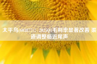 太平鸟(603877)：2025Q1毛利率显著改善 渠道调整临近尾声