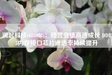 澜起科技(688008)：经营业绩高速成长 DDR5内存接口芯片渗透率持续提升