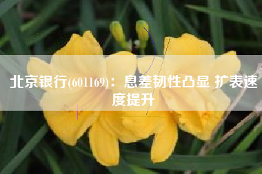 北京银行(601169)：息差韧性凸显 扩表速度提升
