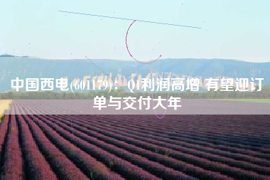 中国西电(601179)：Q1利润高增 有望迎订单与交付大年