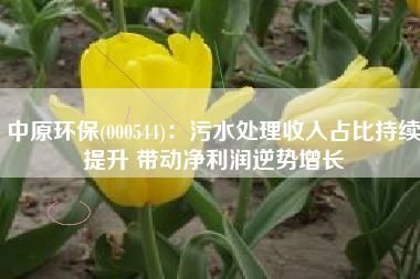 中原环保(000544)：污水处理收入占比持续提升 带动净利润逆势增长