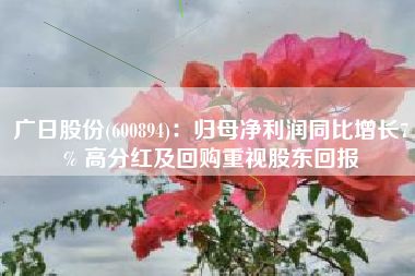 广日股份(600894)：归母净利润同比增长7% 高分红及回购重视股东回报