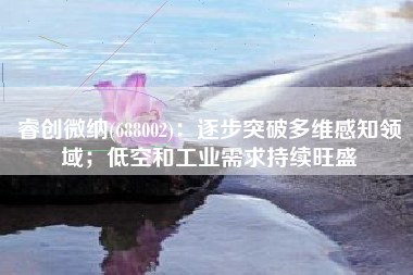 睿创微纳(688002)：逐步突破多维感知领域；低空和工业需求持续旺盛