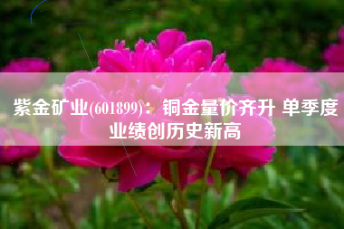 紫金矿业(601899)：铜金量价齐升 单季度业绩创历史新高