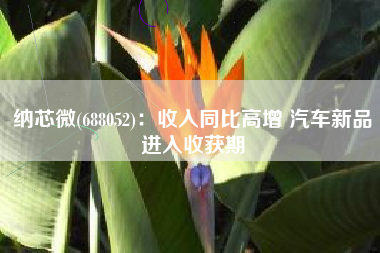 纳芯微(688052)：收入同比高增 汽车新品进入收获期