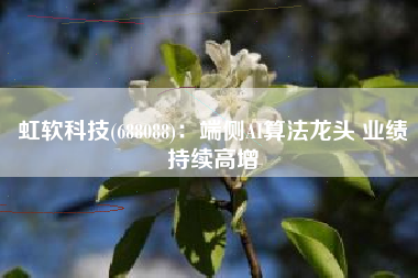 虹软科技(688088)：端侧AI算法龙头 业绩持续高增