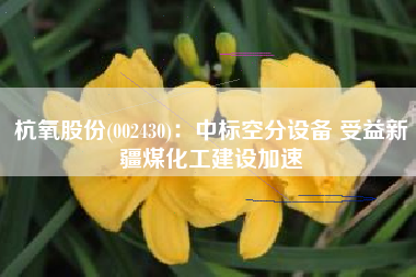 杭氧股份(002430)：中标空分设备 受益新疆煤化工建设加速