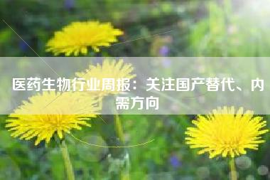 医药生物行业周报：关注国产替代、内需方向