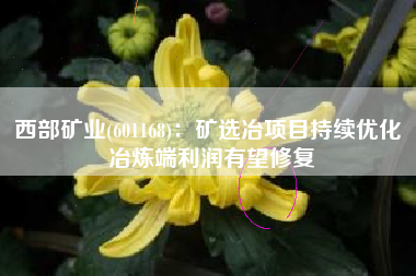 西部矿业(601168)：矿选冶项目持续优化 冶炼端利润有望修复