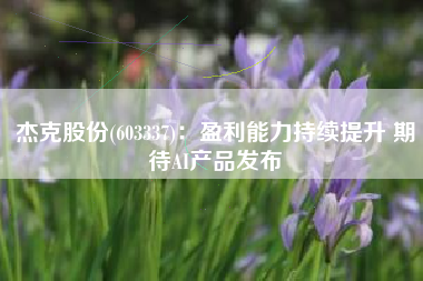 杰克股份(603337)：盈利能力持续提升 期待AI产品发布