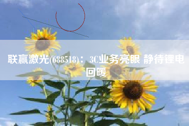 联赢激光(688518)：3C业务亮眼 静待锂电回暖