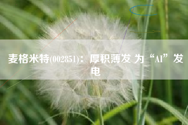 麦格米特(002851)：厚积薄发 为“AI”发电