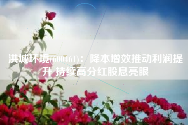 洪城环境(600461)：降本增效推动利润提升 持续高分红股息亮眼