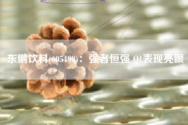 东鹏饮料(605499)：强者恒强 Q1表现亮眼
