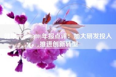 健康元(600380)年报点评：加大研发投入 推进创新转型