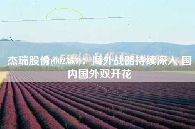 杰瑞股份(002353)：海外战略持续深入 国内国外双开花