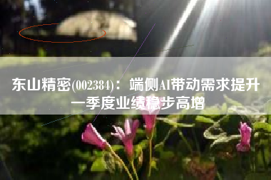 东山精密(002384)：端侧AI带动需求提升 一季度业绩稳步高增