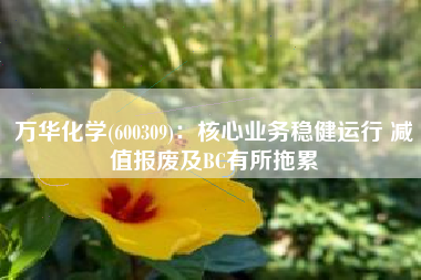 万华化学(600309)：核心业务稳健运行 减值报废及BC有所拖累