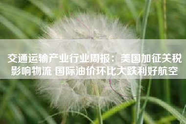 交通运输产业行业周报：美国加征关税影响物流 国际油价环比大跌利好航空