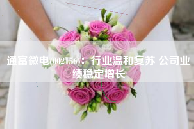 通富微电(002156)：行业温和复苏 公司业绩稳定增长