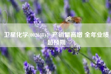 卫星化学(002648)：产销量高增 全年业绩超预期