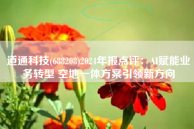 道通科技(688208)2024年报点评：AI赋能业务转型 空地一体方案引领新方向