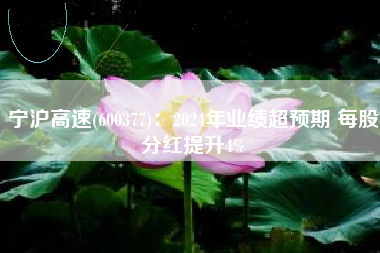 宁沪高速(600377)：2024年业绩超预期 每股分红提升4%