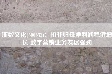 浙数文化(600633)：扣非归母净利润稳健增长 数字营销业务发展强劲