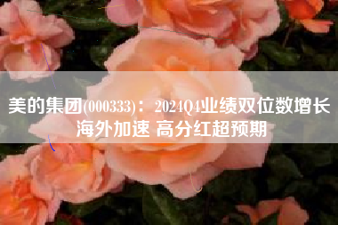 美的集团(000333)：2024Q4业绩双位数增长 海外加速 高分红超预期