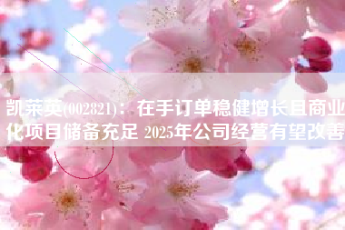 凯莱英(002821)：在手订单稳健增长且商业化项目储备充足 2025年公司经营有望改善