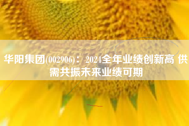 华阳集团(002906)：2024全年业绩创新高 供需共振未来业绩可期