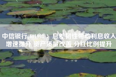 中信银行(601998)：息差韧性带动利息收入增速提升 资产质量改善 分红比例提升
