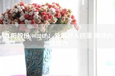 九阳股份(002242)：外销收入回落 期待内销发力